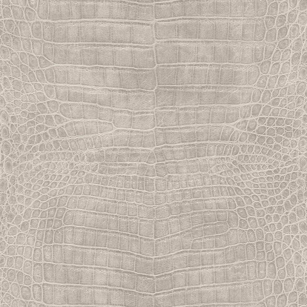 Rasch African Queen III 751338