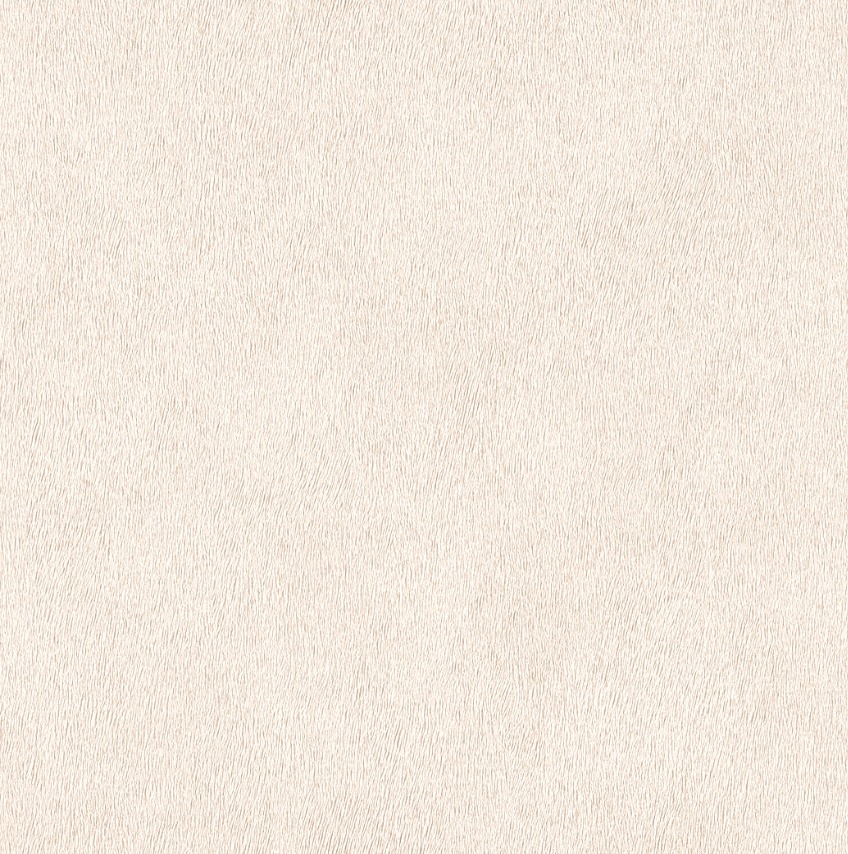 Rasch African Queen III 423204