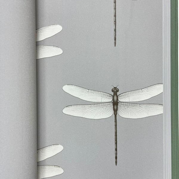 Andrea Rossi Cavolli 54426-7