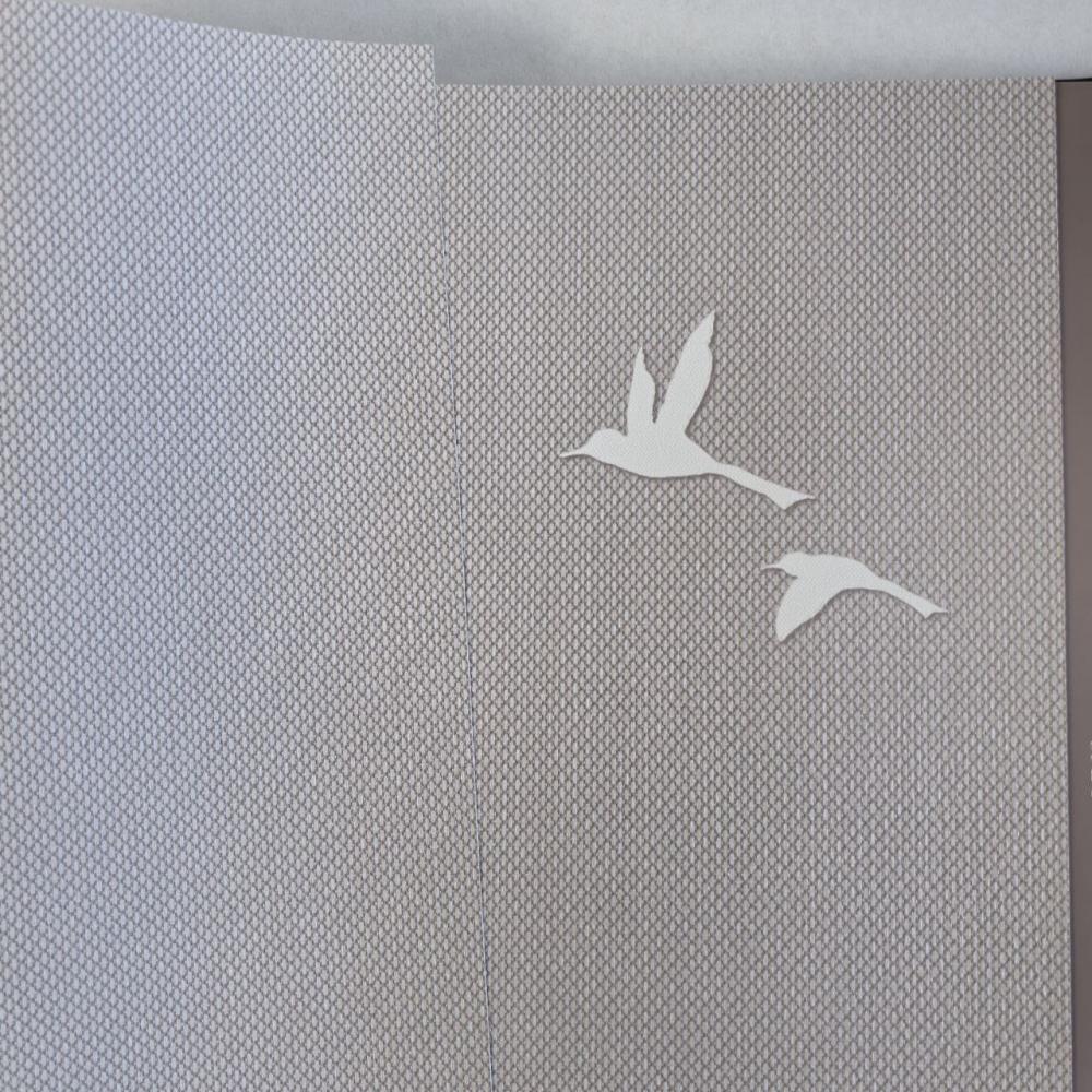 Andrea Rossi Spectrum Box 54457-11