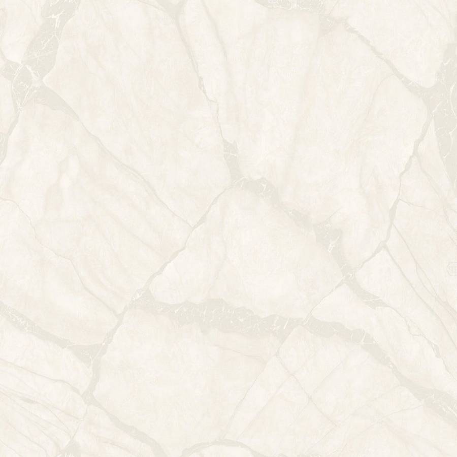 Zambaiti Parati Philipp Plein Z 81042