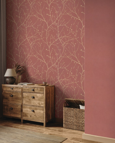 Alessandro Allori Argiano 15024-6