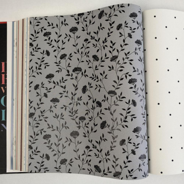 Andrea Rossi Spectrum Box 54456-12