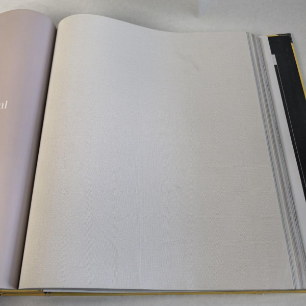 Andrea Rossi Cavolli 54420-3