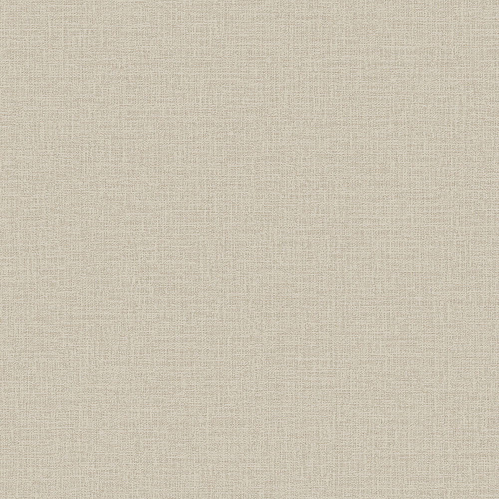 Alessandro Allori Giorgio RGI 1008-8