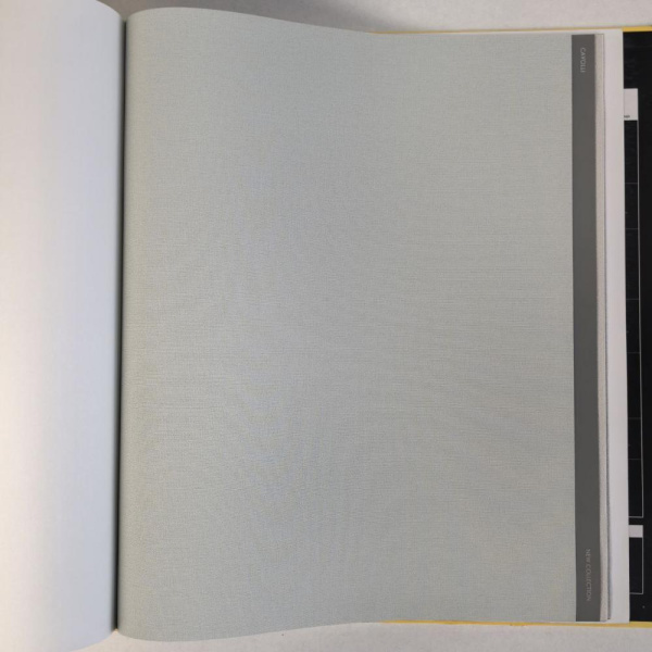 Andrea Rossi Cavolli 54416-9