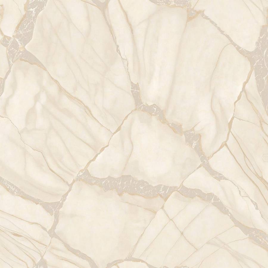 Zambaiti Parati Philipp Plein Z 81039