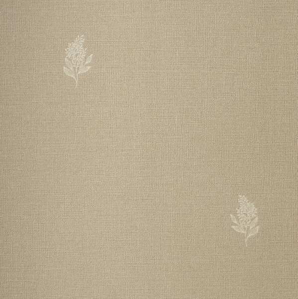 Andrea Rossi Palmaria 54462-7