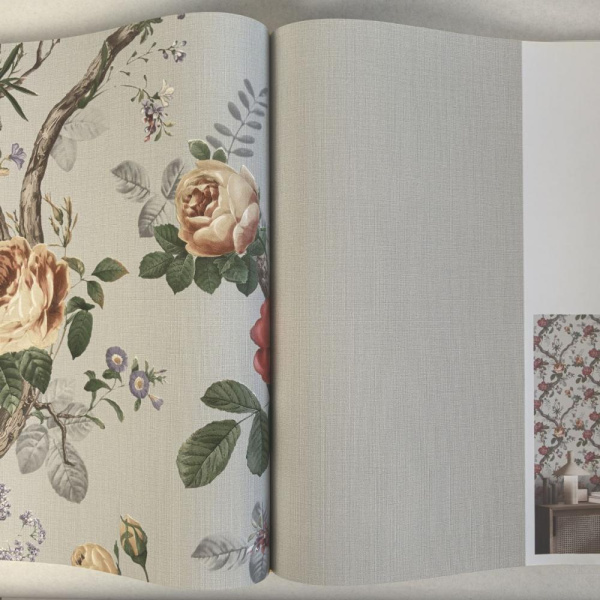 Andrea Rossi Cavolli 54420-10