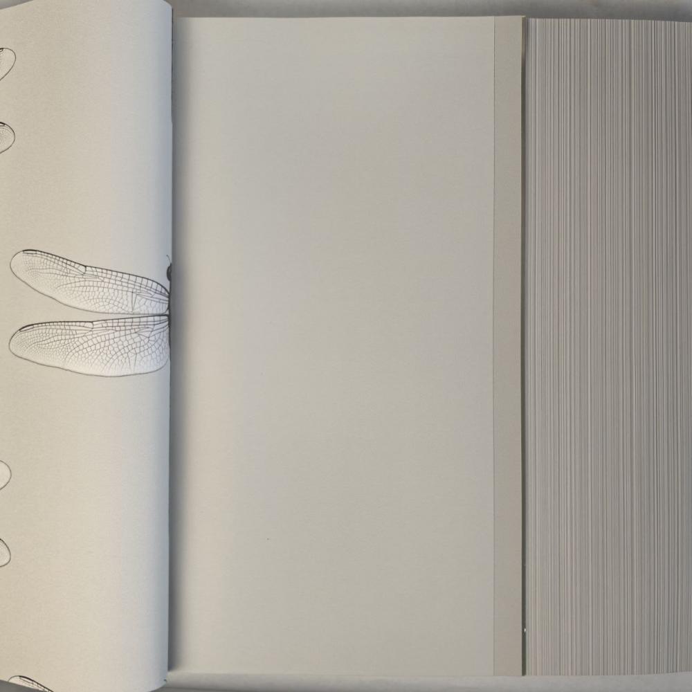 Andrea Rossi Cavolli 54424-4