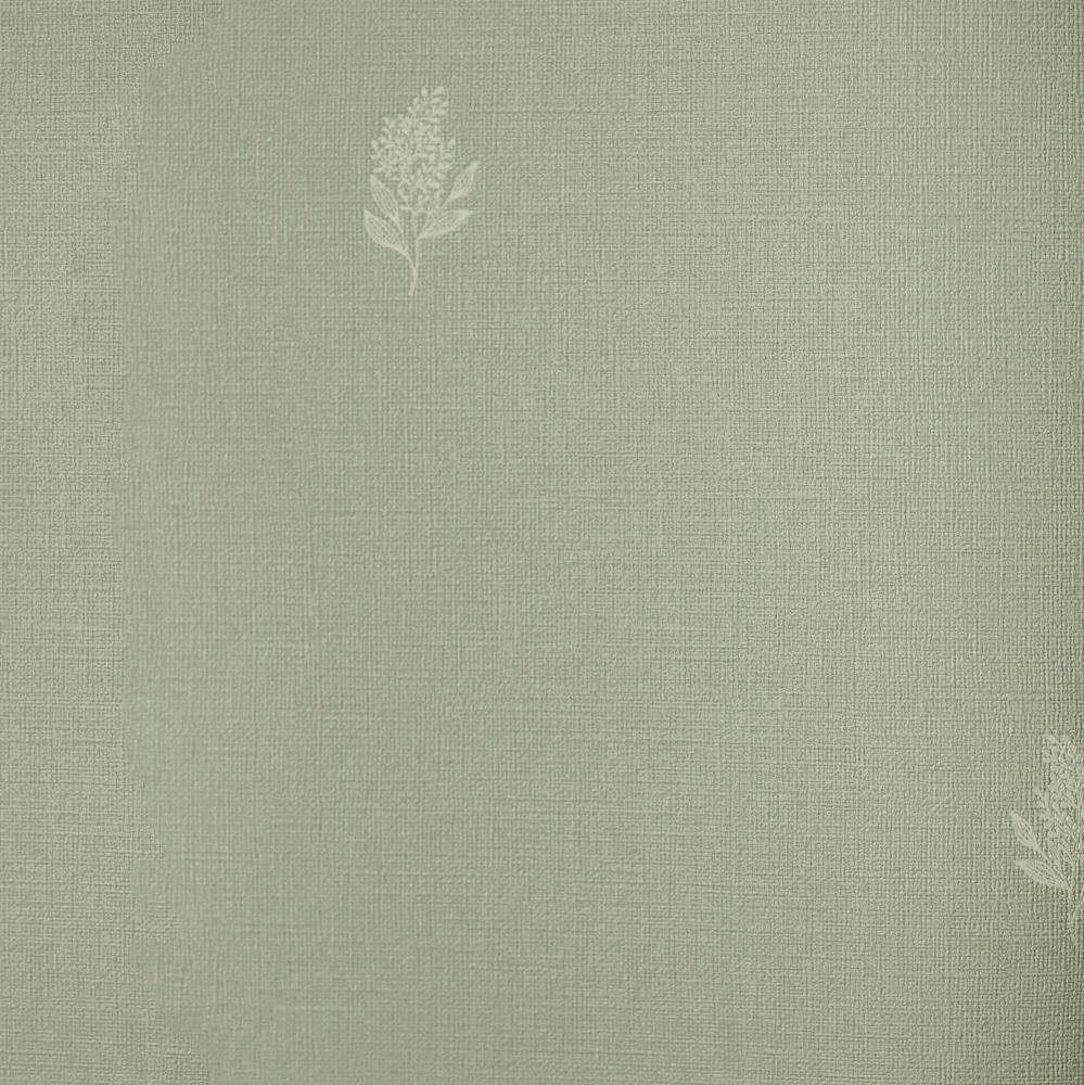 Andrea Rossi Palmaria 54462-3